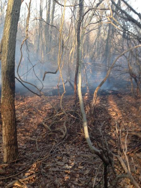 Brush Fire - Modena - April 2014